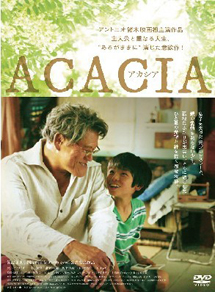ACACIA-アカシア-